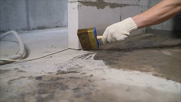 24/7 Emergency Wet Basement Repair experts in Atlas, MI